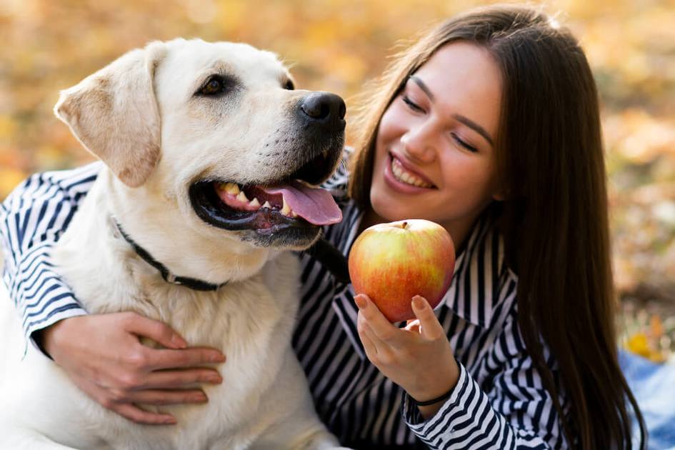 dogs-can-eat-apples-1