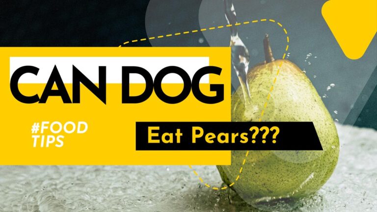 can-dog-eat-pears-cover-1