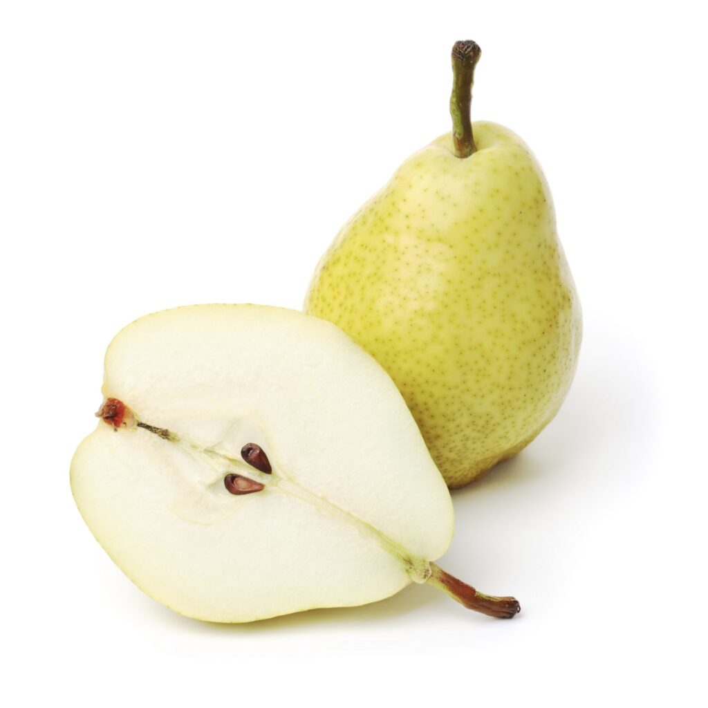 can-dog-eat-pears-seed