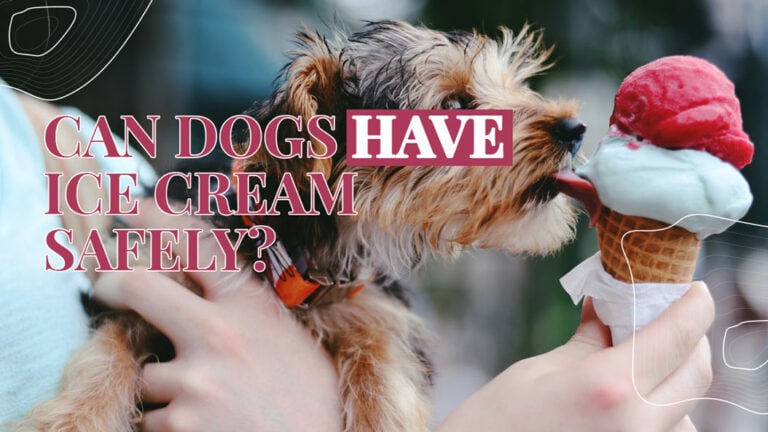 can-dogs-have-vanilla-ice-cream-cover-cover