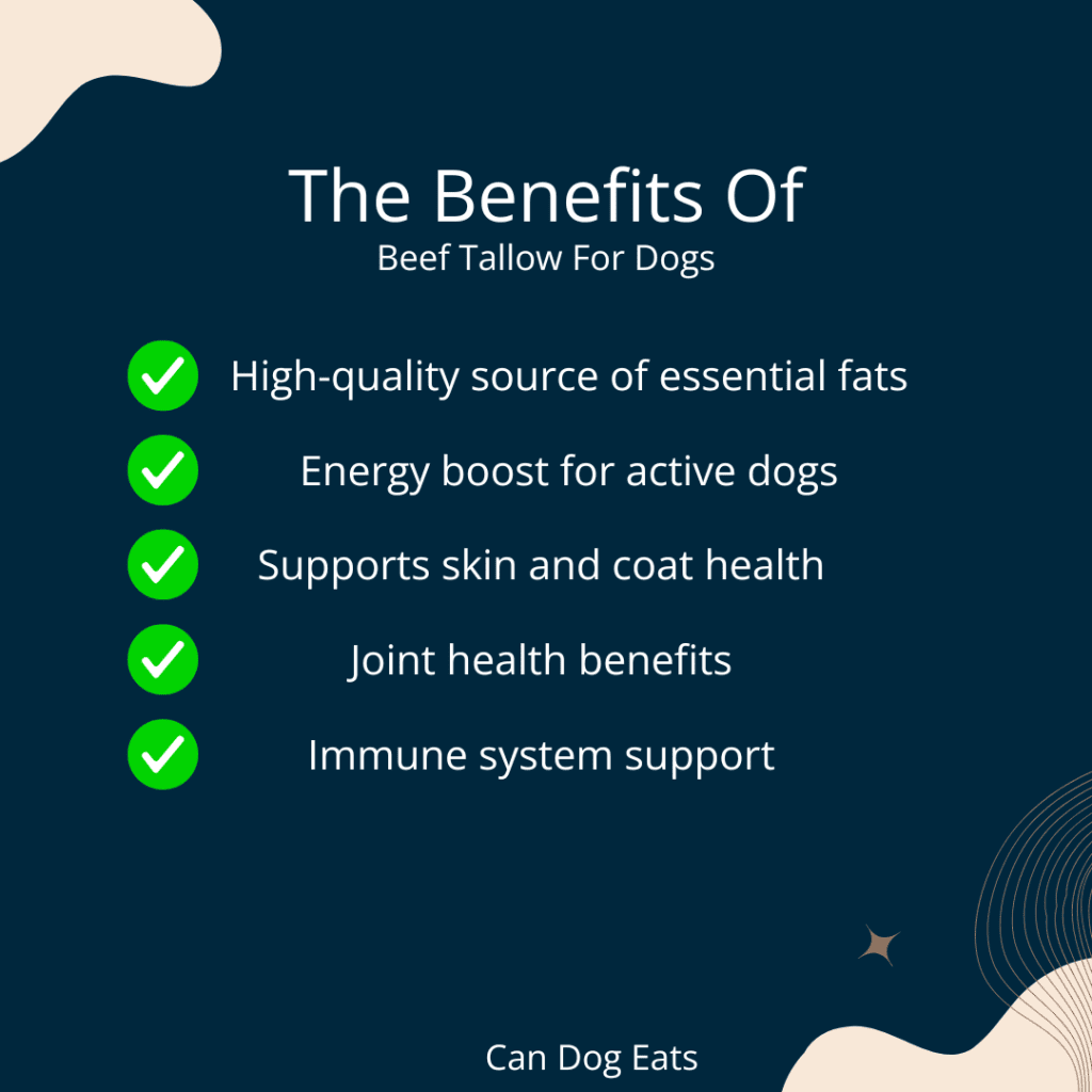 Benefits of Beef Tallow for Dogs