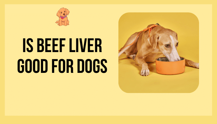 Is Beef Liver Good for Dogs