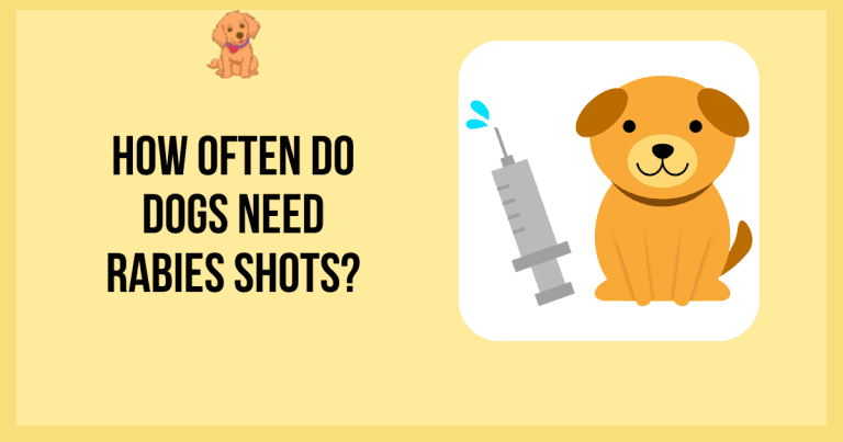 How Often Do Dogs Need Rabies Shots?