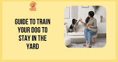 ​Ultimate 2025 Guide to Train Your Dog to Stay in the Yard