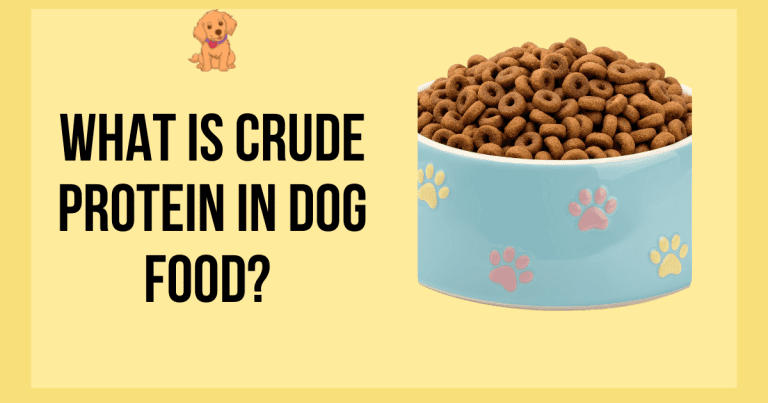 What Is Crude Protein in Dog Food? #1 Complete Guide Every Pet Owner Needs