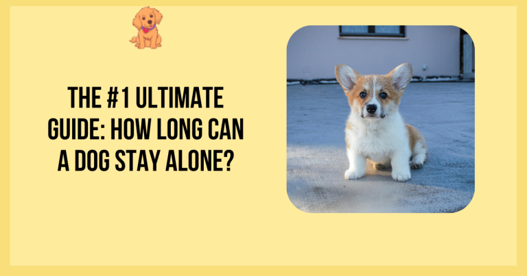 The #1 Ultimate Guide: How Long Can a Dog Stay Alone?